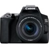 Зеркальный фотоаппарат Canon EOS 250D Kit 18-55 IS STM (черный)
