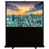 Проекционный экран CACTUS FloorCompactExpert 90x120 CS-PSFLCE-120X90