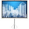 Проекционный экран CACTUS Triscreen CS-PST-127X127